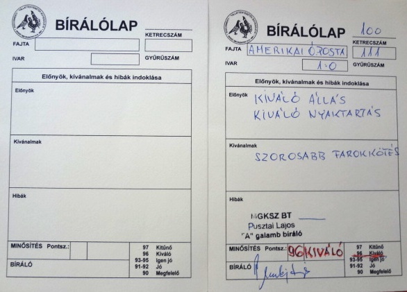 Bíráló lap