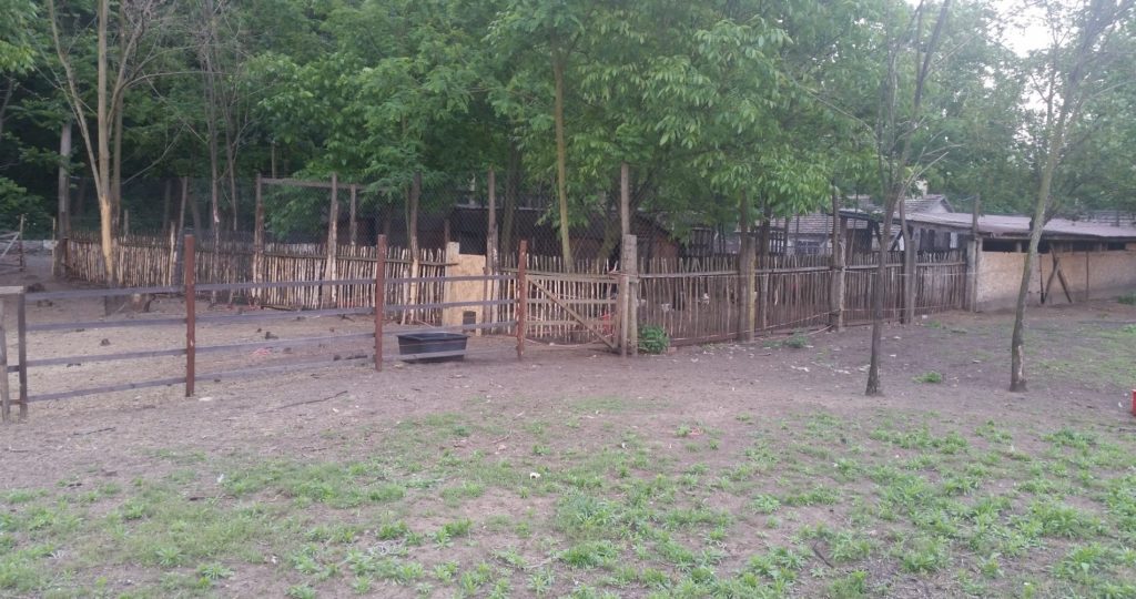 Minél nagyobb helyet tudunk biztosítani, annál jobban érzik magukat