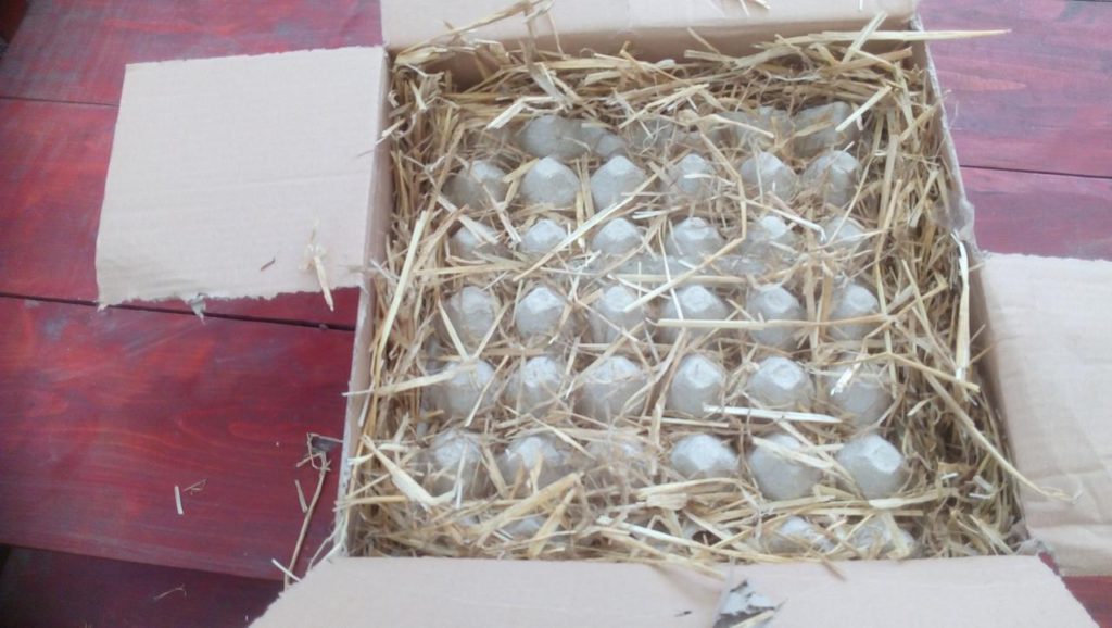 Óvjuk és módjával tisztítsuk a tojásokat