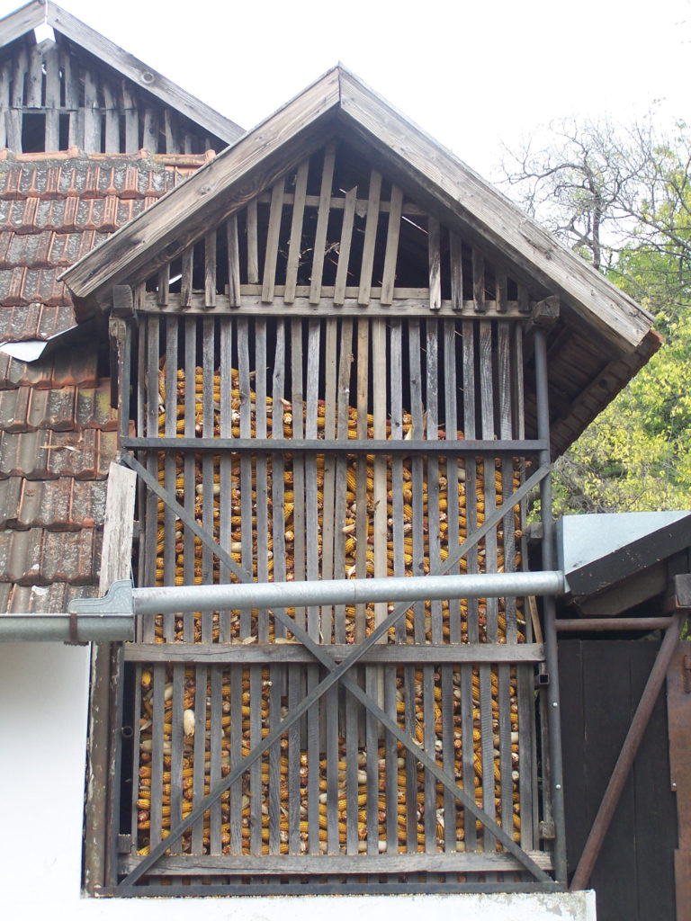 Hagymányos kukoricatároló