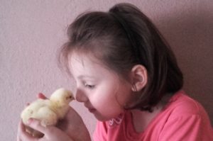 ... és szeretettel bánjanak az állatokkal.