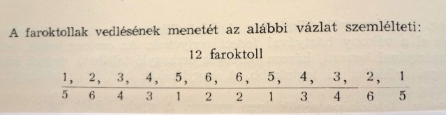 5. sz. kép (forrás: Teremi Gábor: A galamb; Mezőgazdasági Kiadó, Budapest, 1956.)