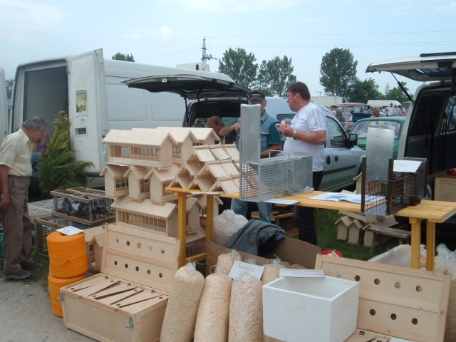 A monori kisállatbörzén (Zsiros András felvétele).