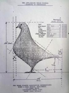 Texán téglatest-alak