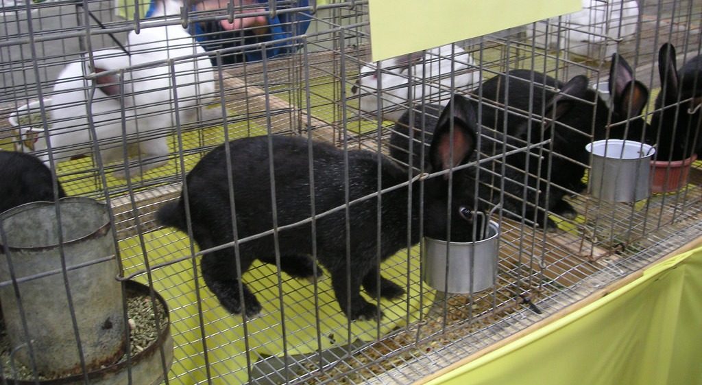 Ewen Roberts / Flickr.com