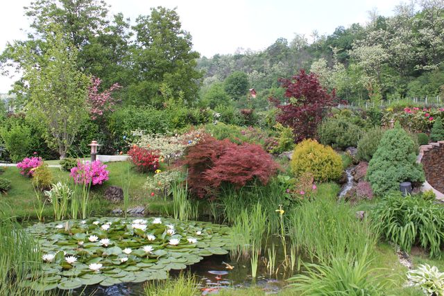 Szépen kialakított tó